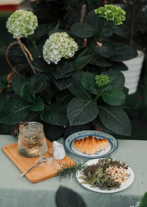 Hương Thảo Hoa Nhài