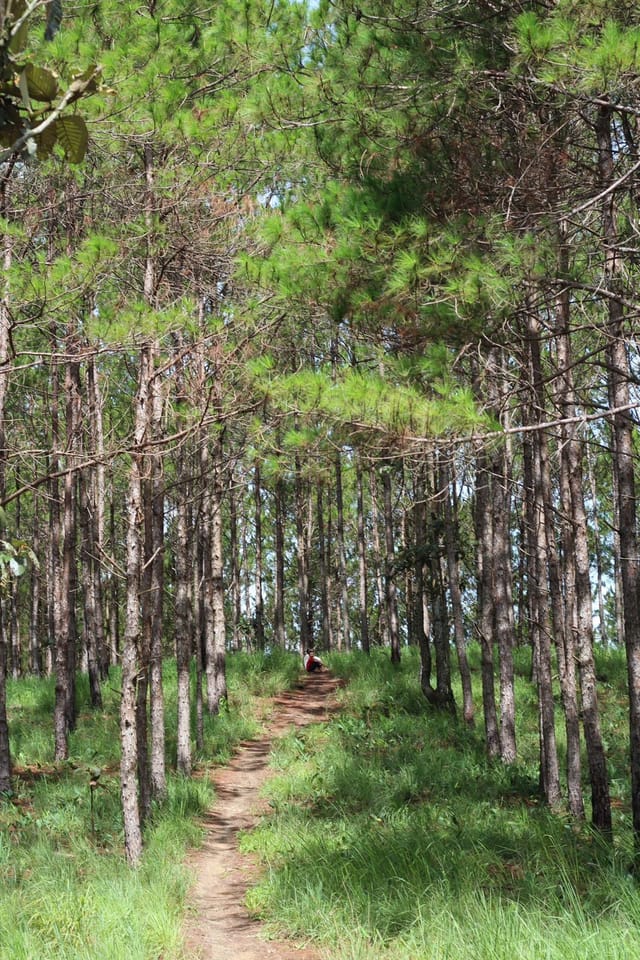 Hành trình phát triển
