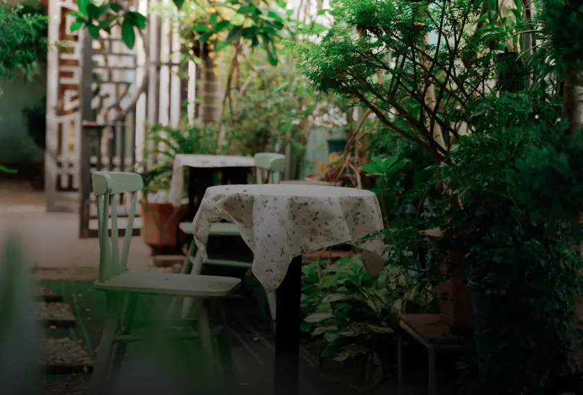 Lạc vào An’s – Tổ Hợp Trà & Cafe Từ Đà Lạt – Khu vườn mùa hè thơ mộng tại Bắc Ninh