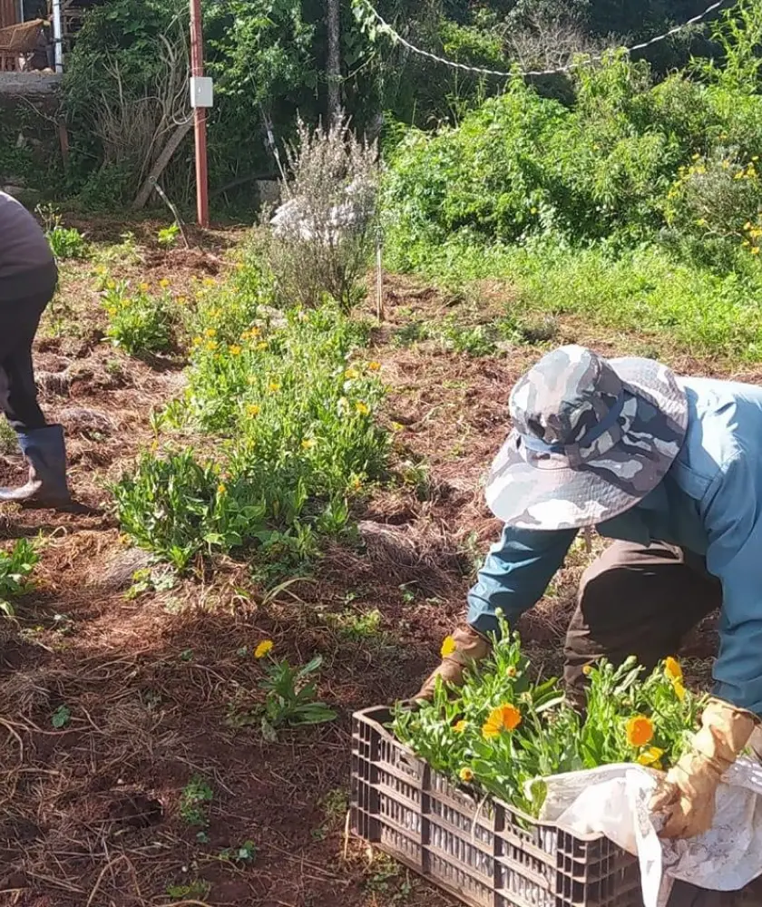 Xây dựng quy trình chuẩn về sản xuất với farm liên kết